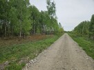 Działka budowlana Kąck gm. Wiązowna, - 11