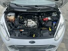 Ford Fiesta - 14