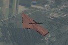 6,5 ha działka inwestycyjna | Kaliś k. Wolbromia - 4