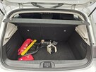 Renault Clio - 13