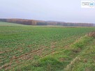 Działka Chęciny Lelusin - 2