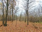 Działka Chęciny Lelusin - 3