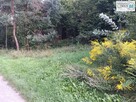 Działka Chęciny Lelusin - 7