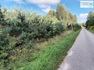 Działka Chęciny Lelusin - 11
