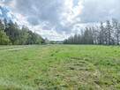 Działka budowlana Słupia gm. Stęszew, Szkolna - 3