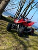 Quad Beretta MAD MAX 150 - 4