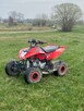 Quad Beretta MAD MAX 150 - 5