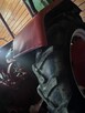 MC Cormick Farmall D-324 – po remoncie silnik 1956r. mocny - 9