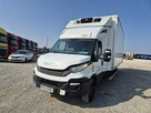 Iveco Daily - 2