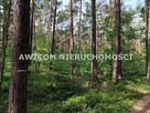 Działka leśna Grabina Radziwiłłowska gm. Puszcza Mariańska - 1