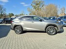 Lexus NX Salon Polska * Fv 23% * I właściciel - 5