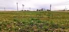 Działka inwestycyjna Karolina gm. Baranów, - 4