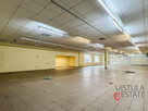 Lokal handlowo-usługowy 460 m2 | duży parking - 4