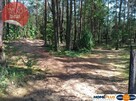 Działka w lesie 2064 m² - letniskowa i całoroczna