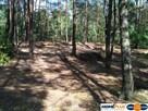 Działka w lesie 2064 m² - letniskowa i całoroczna - 2