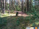 Działka w lesie 2064 m² - letniskowa i całoroczna - 6