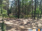 Działka w lesie 2064 m² - letniskowa i całoroczna - 7