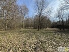Działka rolno-budowlana Dołęga gm. Szczurowa - 10