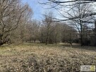 Działka rolno-budowlana Dołęga gm. Szczurowa - 11
