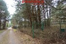 Działka rekreacyjna Pągowiec gm. Raków - 4