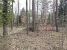 Działka budowlana Adamów-Wieś gm. Radziejowice, - 4