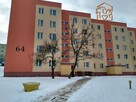 Os. Na Stoku 64, Na Stoku, 3 pokoje pet friendly - 9