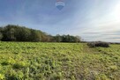 Działka 1475m2, Kłudno Nowe gm. Grodzisk Maz. - 5