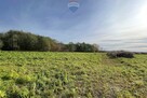 Działka 1501m2 Kłudno Nowe gm. Grodzisk Mazowiecki - 5