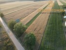 Działka Rusinów Wola Gałecka - 3