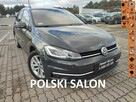 Volkswagen Golf Salon Polska bezwyoadkowy