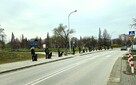 Szkolenie psów Kielce www.szkoleniepsowkielce.eu - 6