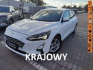 Ford Focus Salon Polska fv23