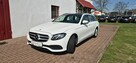 Mercedes E 220 4-MATIC-PNEUMATYKA-PANORAMA - 3