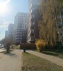 3-pokojowe mieszkanie na Ursusie - 13