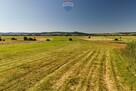DZIAŁKA DO DZIERŻAWY PRZY DRODZE WOJEWÓDZKIEJ - 6