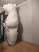 Biały Miś strój wypożyczę - 2
