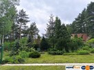 Cicha kształtna działka w otulinie lasu koło rzeki - 3