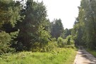 Na sprzedaż działki rekreacyjne w lesie, Wrocław - 14