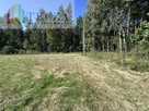 Działka budowlana Borucza gm. Strachówka - 3