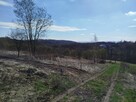 Wynajmę działkę rekreacyjną - rolną działka raciborsko - 9