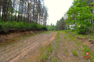 Działka budowlana Płaska, - 3