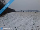 16 ha ziemi Gorzanów - 2