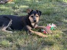 Mańka szuka domku - 6