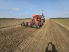 Siew zboża, strączk.Uprawa bezorkowa, wywóz szamba gnojowicy - 9