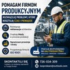 Pomoc dla firm produkcyjnych – reklamacje optymalizacja ISO