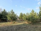 Działka pod Piasecznem 1000 m²