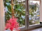Bezpośrednio jasne mieszkanie w samym centrum - 6