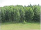 Działka inwestycyjna Wołcza Wielka gm. Miastko - 8