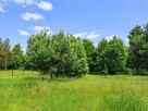 Działka budowlana Krasice gm. Mstów, Strażacka - 5