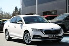 Škoda Octavia 1,5 150 KM Ambition-rej.2023 bezwypadkowa, serwisowana - 2
